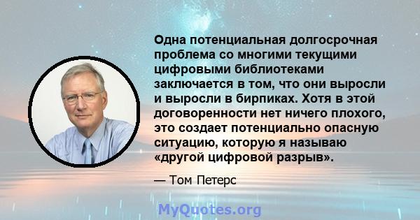 Одна потенциальная долгосрочная проблема со многими текущими цифровыми библиотеками заключается в том, что они выросли и выросли в бирпиках. Хотя в этой договоренности нет ничего плохого, это создает потенциально