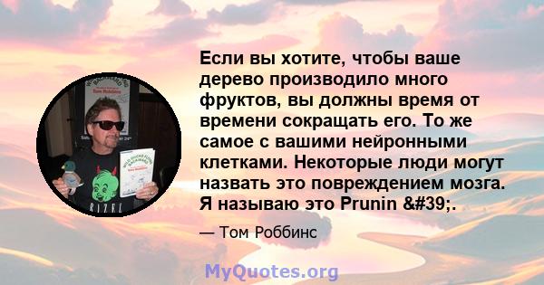 Если вы хотите, чтобы ваше дерево производило много фруктов, вы должны время от времени сокращать его. То же самое с вашими нейронными клетками. Некоторые люди могут назвать это повреждением мозга. Я называю это Prunin