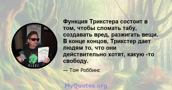 Функция Трикстера состоит в том, чтобы сломать табу, создавать вред, разжигать вещи. В конце концов, Трикстер дает людям то, что они действительно хотят, какую -то свободу.