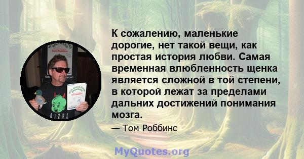 К сожалению, маленькие дорогие, нет такой вещи, как простая история любви. Самая временная влюбленность щенка является сложной в той степени, в которой лежат за пределами дальних достижений понимания мозга.