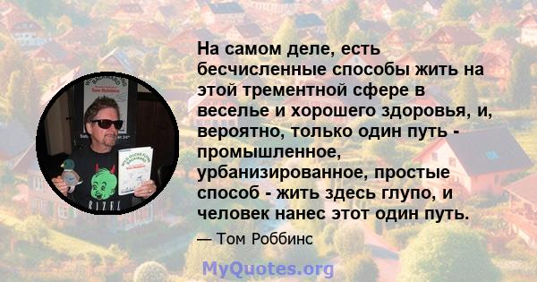 На самом деле, есть бесчисленные способы жить на этой трементной сфере в веселье и хорошего здоровья, и, вероятно, только один путь - промышленное, урбанизированное, простые способ - жить здесь глупо, и человек нанес