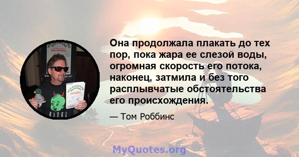 Она продолжала плакать до тех пор, пока жара ее слезой воды, огромная скорость его потока, наконец, затмила и без того расплывчатые обстоятельства его происхождения.