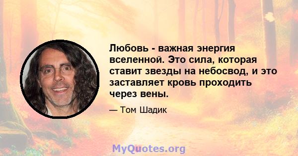 Любовь - важная энергия вселенной. Это сила, которая ставит звезды на небосвод, и это заставляет кровь проходить через вены.