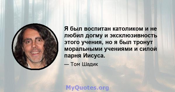 Я был воспитан католиком и не любил догму и эксклюзивность этого учения, но я был тронут моральными учениями и силой парня Иисуса.