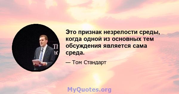 Это признак незрелости среды, когда одной из основных тем обсуждения является сама среда.