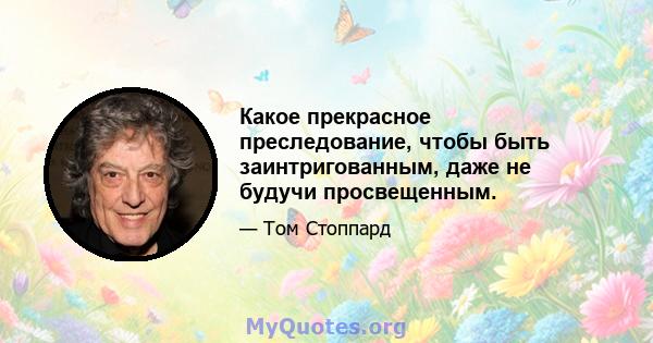 Какое прекрасное преследование, чтобы быть заинтригованным, даже не будучи просвещенным.