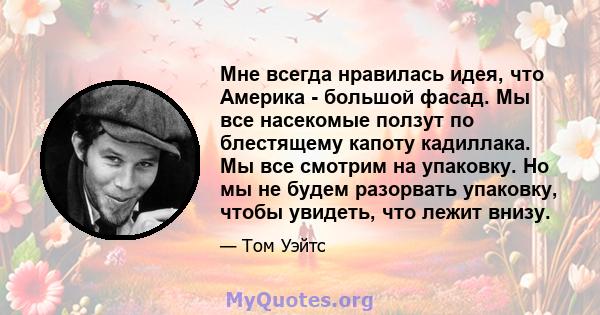 Мне всегда нравилась идея, что Америка - большой фасад. Мы все насекомые ползут по блестящему капоту кадиллака. Мы все смотрим на упаковку. Но мы не будем разорвать упаковку, чтобы увидеть, что лежит внизу.