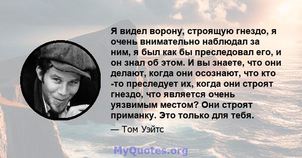 Я видел ворону, строящую гнездо, я очень внимательно наблюдал за ним, я был как бы преследовал его, и он знал об этом. И вы знаете, что они делают, когда они осознают, что кто -то преследует их, когда они строят гнездо, 