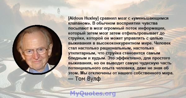 [Aldous Huxley] сравнил мозг с «уменьшающимся клапаном». В обычном восприятии чувства посылают в мозг огромный поток информации, который затем мозг затем отфильтровывает до струйки, которой он может управлять с целью