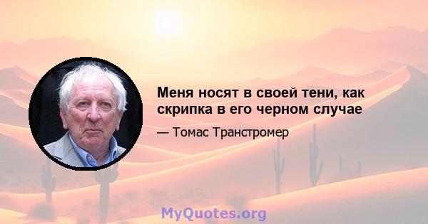 Меня носят в своей тени, как скрипка в его черном случае