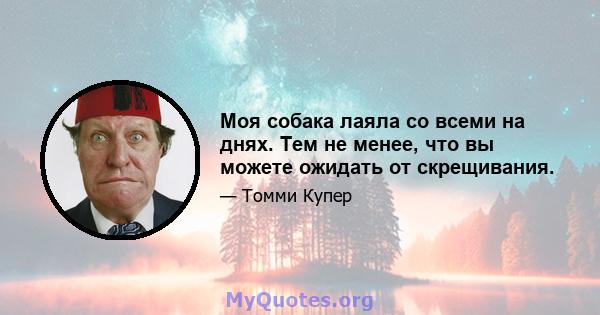 Моя собака лаяла со всеми на днях. Тем не менее, что вы можете ожидать от скрещивания.