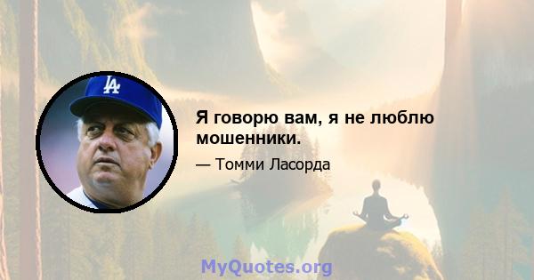 Я говорю вам, я не люблю мошенники.