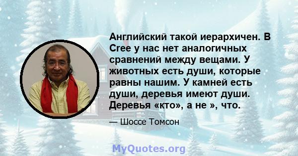 Английский такой иерархичен. В Cree у нас нет аналогичных сравнений между вещами. У животных есть души, которые равны нашим. У камней есть души, деревья имеют души. Деревья «кто», а не », что.