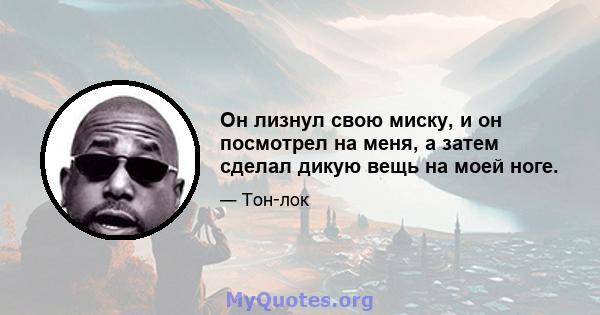 Он лизнул свою миску, и он посмотрел на меня, а затем сделал дикую вещь на моей ноге.