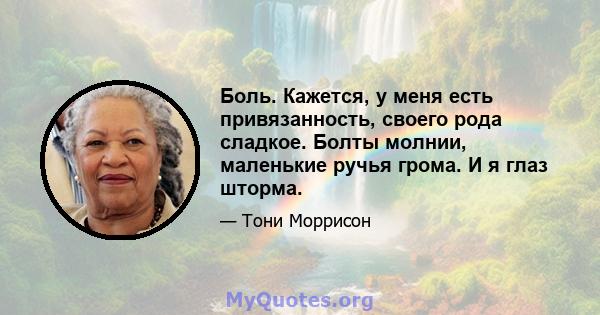 Боль. Кажется, у меня есть привязанность, своего рода сладкое. Болты молнии, маленькие ручья грома. И я глаз шторма.