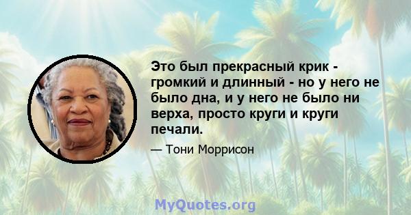 Это был прекрасный крик - громкий и длинный - но у него не было дна, и у него не было ни верха, просто круги и круги печали.