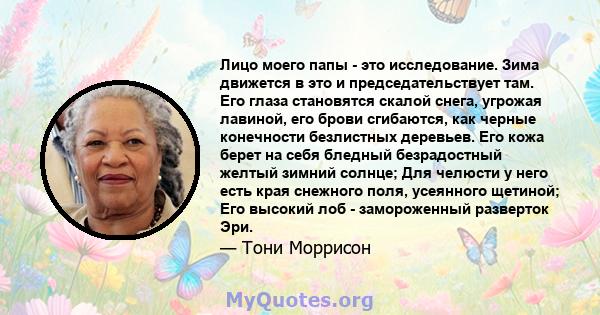 Лицо моего папы - это исследование. Зима движется в это и председательствует там. Его глаза становятся скалой снега, угрожая лавиной, его брови сгибаются, как черные конечности безлистных деревьев. Его кожа берет на