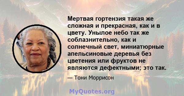 Мертвая гортензия такая же сложная и прекрасная, как и в цвету. Унылое небо так же соблазнительно, как и солнечный свет, миниатюрные апельсиновые деревья без цветения или фруктов не являются дефектными; это так.