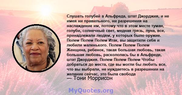 Слушать голубей в Альфреда, штат Джорджия, и не имея ни правильного, ни разрешения на наслаждение им, потому что в этом месте туман, голуби, солнечный свет, медная грязь, луна, все, принадлежали людям, у которых было