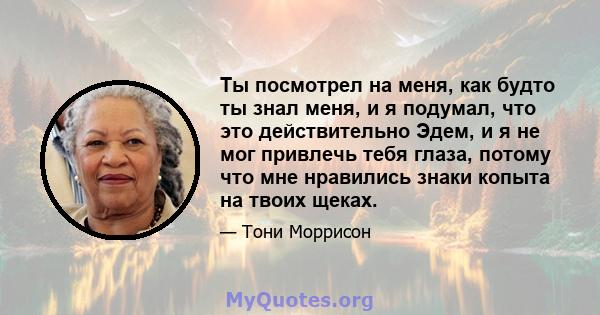 Ты посмотрел на меня, как будто ты знал меня, и я подумал, что это действительно Эдем, и я не мог привлечь тебя глаза, потому что мне нравились знаки копыта на твоих щеках.