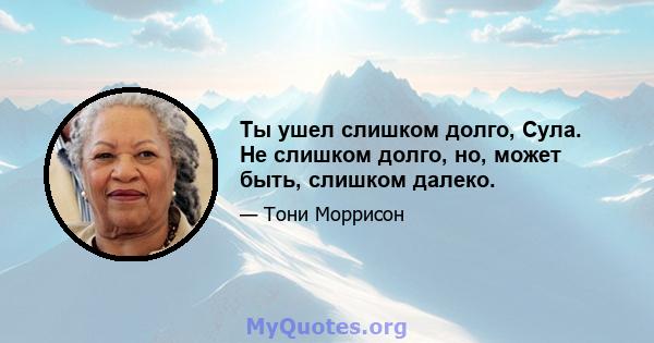 Ты ушел слишком долго, Сула. Не слишком долго, но, может быть, слишком далеко.