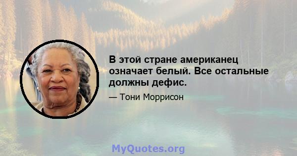 В этой стране американец означает белый. Все остальные должны дефис.