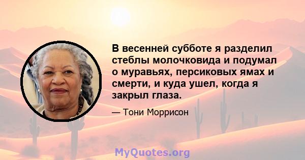 В весенней субботе я разделил стеблы молочковида и подумал о муравьях, персиковых ямах и смерти, и куда ушел, когда я закрыл глаза.