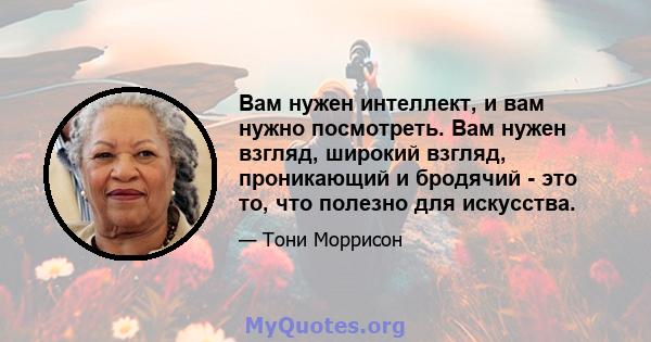 Вам нужен интеллект, и вам нужно посмотреть. Вам нужен взгляд, широкий взгляд, проникающий и бродячий - это то, что полезно для искусства.