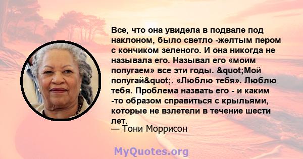 Все, что она увидела в подвале под наклоном, было светло -желтым пером с кончиком зеленого. И она никогда не называла его. Называл его «моим попугаем» все эти годы. "Мой попугай". «Люблю тебя». Люблю тебя.