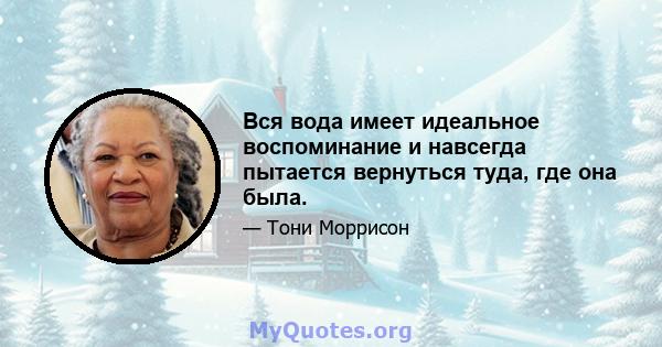 Вся вода имеет идеальное воспоминание и навсегда пытается вернуться туда, где она была.