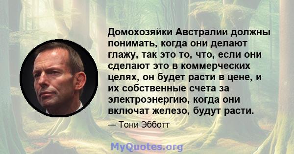 Домохозяйки Австралии должны понимать, когда они делают глажу, так это то, что, если они сделают это в коммерческих целях, он будет расти в цене, и их собственные счета за электроэнергию, когда они включат железо, будут 