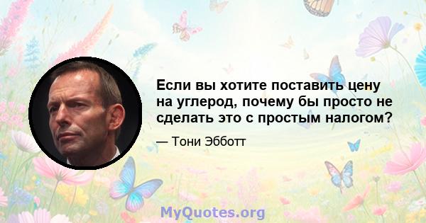 Если вы хотите поставить цену на углерод, почему бы просто не сделать это с простым налогом?