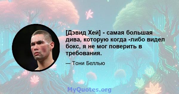 [Дэвид Хей] - самая большая дива, которую когда -либо видел бокс, я не мог поверить в требования.