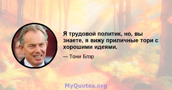 Я трудовой политик, но, вы знаете, я вижу приличные тори с хорошими идеями.