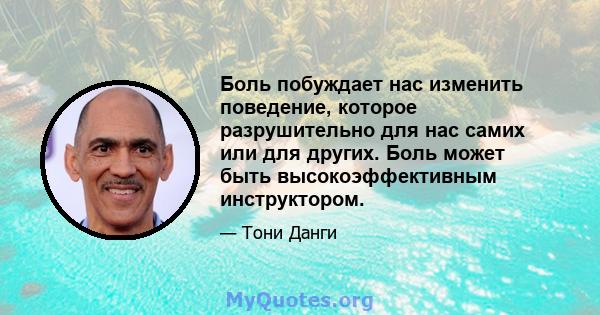 Боль побуждает нас изменить поведение, которое разрушительно для нас самих или для других. Боль может быть высокоэффективным инструктором.