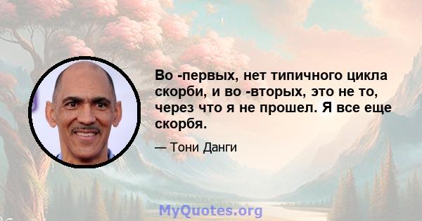 Во -первых, нет типичного цикла скорби, и во -вторых, это не то, через что я не прошел. Я все еще скорбя.