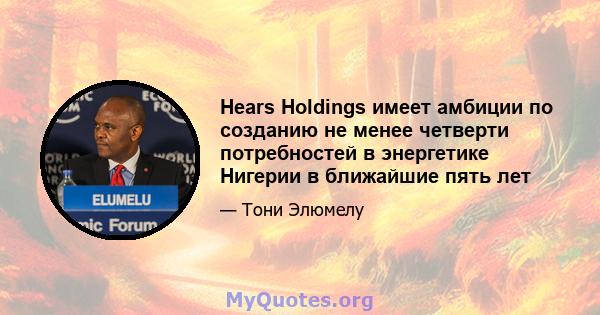 Hears Holdings имеет амбиции по созданию не менее четверти потребностей в энергетике Нигерии в ближайшие пять лет