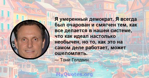 Я умеренный демократ. Я всегда был очарован и смягчен тем, как все делается в нашей системе, что как идеал настолько необычен, но то, как это на самом деле работает, может ошеломлять.