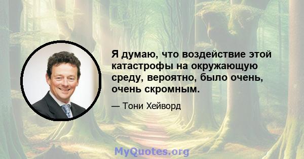 Я думаю, что воздействие этой катастрофы на окружающую среду, вероятно, было очень, очень скромным.