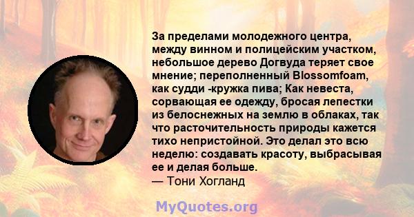 За пределами молодежного центра, между винном и полицейским участком, небольшое дерево Догвуда теряет свое мнение; переполненный Blossomfoam, как судди -кружка пива; Как невеста, сорвающая ее одежду, бросая лепестки из