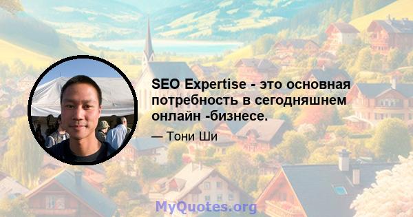 SEO Expertise - это основная потребность в сегодняшнем онлайн -бизнесе.