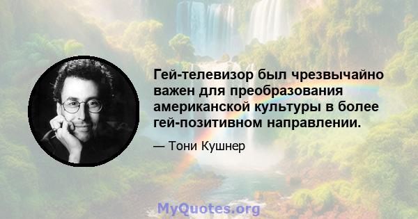 Гей-телевизор был чрезвычайно важен для преобразования американской культуры в более гей-позитивном направлении.