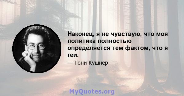 Наконец, я не чувствую, что моя политика полностью определяется тем фактом, что я гей.