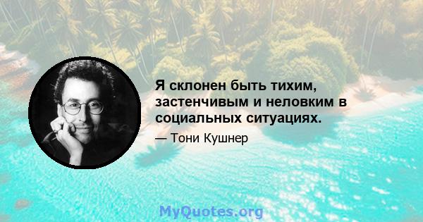 Я склонен быть тихим, застенчивым и неловким в социальных ситуациях.