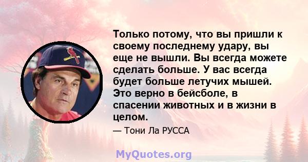 Только потому, что вы пришли к своему последнему удару, вы еще не вышли. Вы всегда можете сделать больше. У вас всегда будет больше летучих мышей. Это верно в бейсболе, в спасении животных и в жизни в целом.