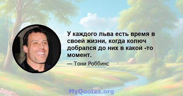 У каждого льва есть время в своей жизни, когда колюч добрался до них в какой -то момент.