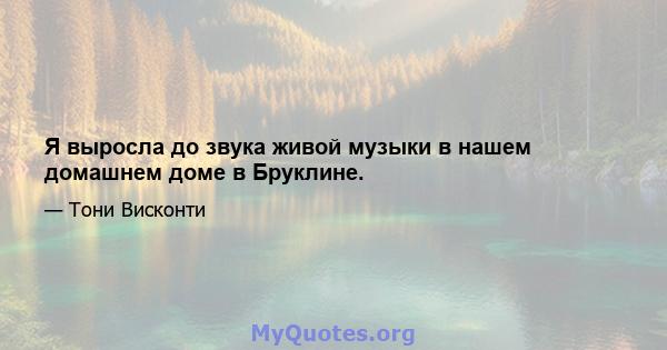 Я выросла до звука живой музыки в нашем домашнем доме в Бруклине.