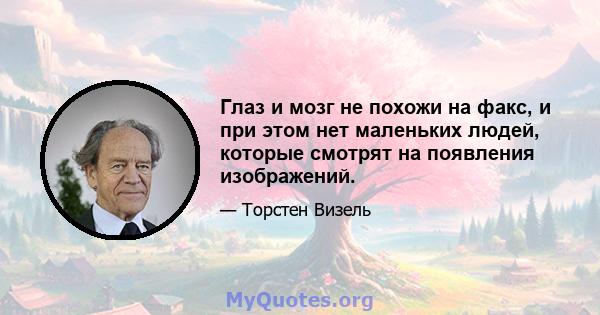 Глаз и мозг не похожи на факс, и при этом нет маленьких людей, которые смотрят на появления изображений.