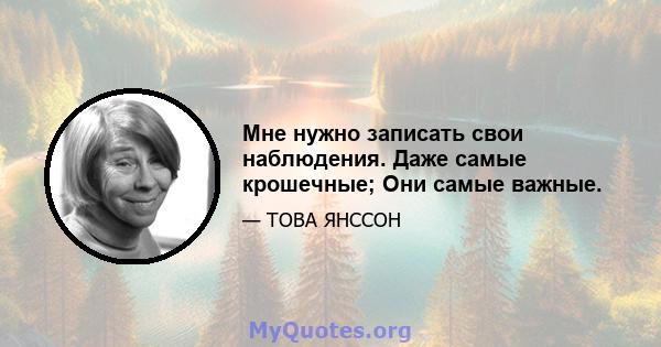 Мне нужно записать свои наблюдения. Даже самые крошечные; Они самые важные.