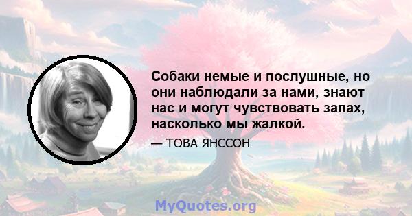 Собаки немые и послушные, но они наблюдали за нами, знают нас и могут чувствовать запах, насколько мы жалкой.